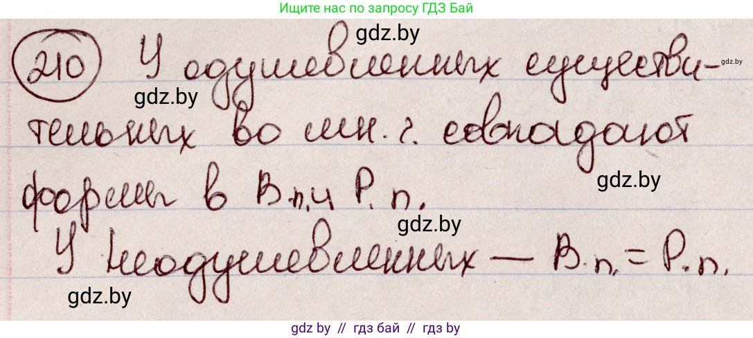 Русский язык, 6 класс Учебник, авторы: Мурина Лариса Александровна, Игнатович Татьяна Владимировна, Жадейко Жанна Фёдоровна, издательство Национальный институт образования, Минск, 2020, страница 101, номер 210, Решение 2