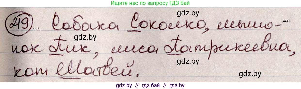 Русский язык, 6 класс Учебник, авторы: Мурина Лариса Александровна, Игнатович Татьяна Владимировна, Жадейко Жанна Фёдоровна, издательство Национальный институт образования, Минск, 2020, страница 105, номер 219, Решение 2