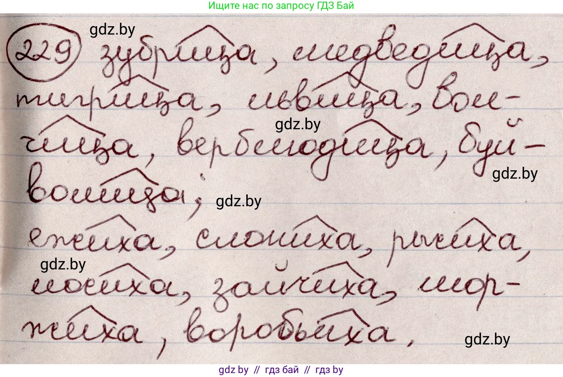Русский язык, 6 класс Учебник, авторы: Мурина Лариса Александровна, Игнатович Татьяна Владимировна, Жадейко Жанна Фёдоровна, издательство Национальный институт образования, Минск, 2020, страница 110, номер 229, Решение 2