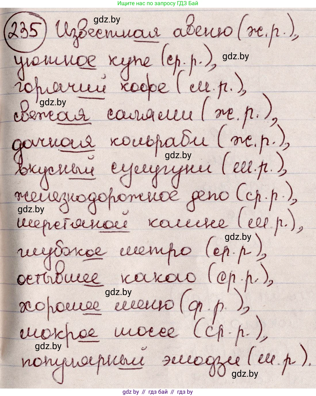 Русский язык, 6 класс Учебник, авторы: Мурина Лариса Александровна, Игнатович Татьяна Владимировна, Жадейко Жанна Фёдоровна, издательство Национальный институт образования, Минск, 2020, страница 113, номер 235, Решение 2