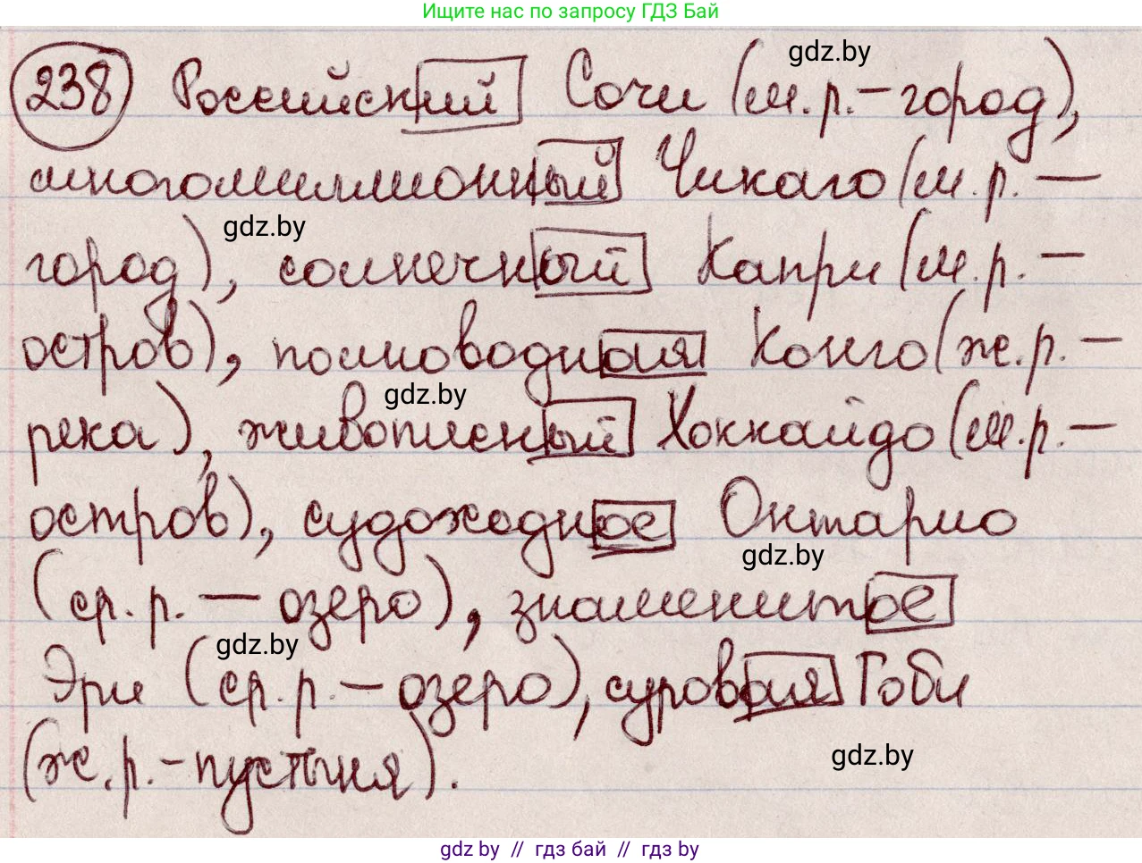 Русский язык, 6 класс Учебник, авторы: Мурина Лариса Александровна, Игнатович Татьяна Владимировна, Жадейко Жанна Фёдоровна, издательство Национальный институт образования, Минск, 2020, страница 114, номер 238, Решение 2