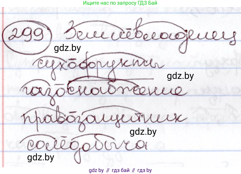 Русский язык, 6 класс Учебник, авторы: Мурина Лариса Александровна, Игнатович Татьяна Владимировна, Жадейко Жанна Фёдоровна, издательство Национальный институт образования, Минск, 2020, страница 142, номер 299, Решение 2
