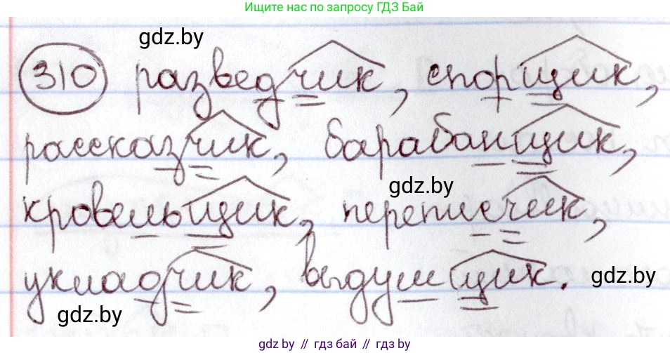 Русский язык, 6 класс Учебник, авторы: Мурина Лариса Александровна, Игнатович Татьяна Владимировна, Жадейко Жанна Фёдоровна, издательство Национальный институт образования, Минск, 2020, страница 146, номер 310, Решение 2