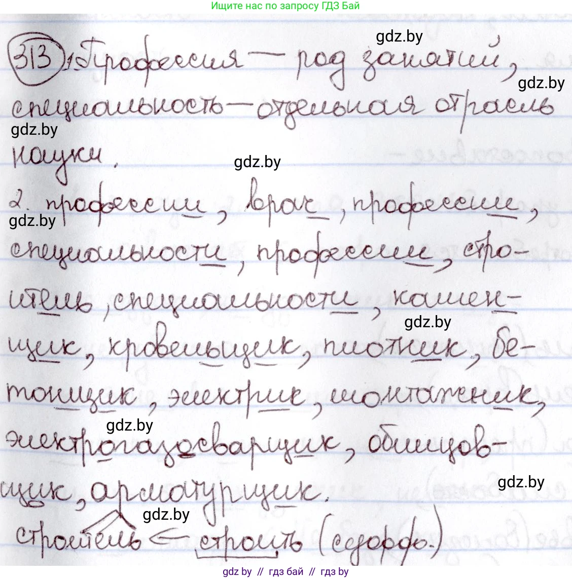 Русский язык, 6 класс Учебник, авторы: Мурина Лариса Александровна, Игнатович Татьяна Владимировна, Жадейко Жанна Фёдоровна, издательство Национальный институт образования, Минск, 2020, страница 147, номер 313, Решение 2