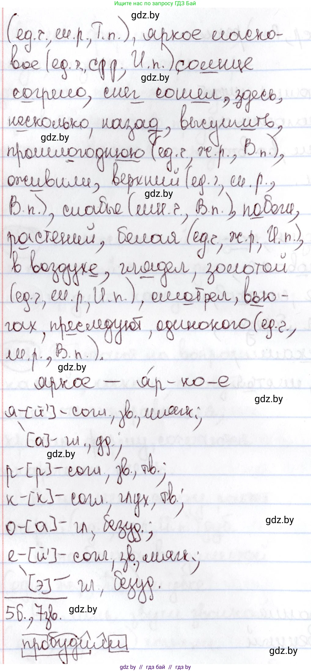 Русский язык, 6 класс Учебник, авторы: Мурина Лариса Александровна, Игнатович Татьяна Владимировна, Жадейко Жанна Фёдоровна, издательство Национальный институт образования, Минск, 2020, страница 161, номер 351, Решение 2 (продолжение 2)