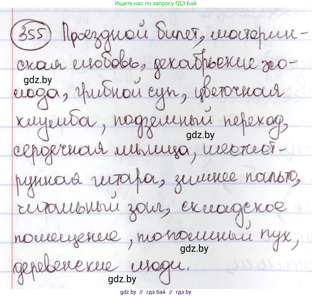 Русский язык, 6 класс Учебник, авторы: Мурина Лариса Александровна, Игнатович Татьяна Владимировна, Жадейко Жанна Фёдоровна, издательство Национальный институт образования, Минск, 2020, страница 163, номер 355, Решение 2