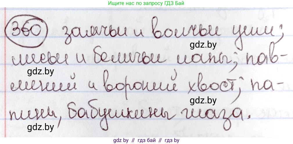 Русский язык, 6 класс Учебник, авторы: Мурина Лариса Александровна, Игнатович Татьяна Владимировна, Жадейко Жанна Фёдоровна, издательство Национальный институт образования, Минск, 2020, страница 165, номер 360, Решение 2