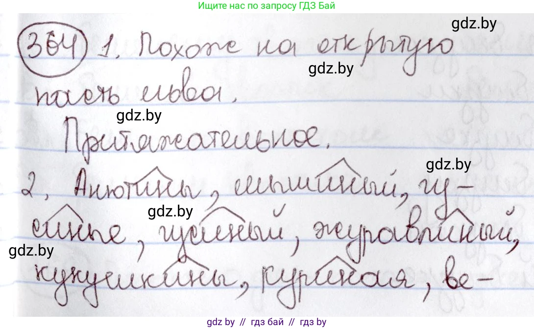 Русский язык, 6 класс Учебник, авторы: Мурина Лариса Александровна, Игнатович Татьяна Владимировна, Жадейко Жанна Фёдоровна, издательство Национальный институт образования, Минск, 2020, страница 166, номер 364, Решение 2