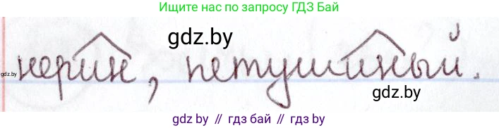 Русский язык, 6 класс Учебник, авторы: Мурина Лариса Александровна, Игнатович Татьяна Владимировна, Жадейко Жанна Фёдоровна, издательство Национальный институт образования, Минск, 2020, страница 166, номер 364, Решение 2 (продолжение 2)
