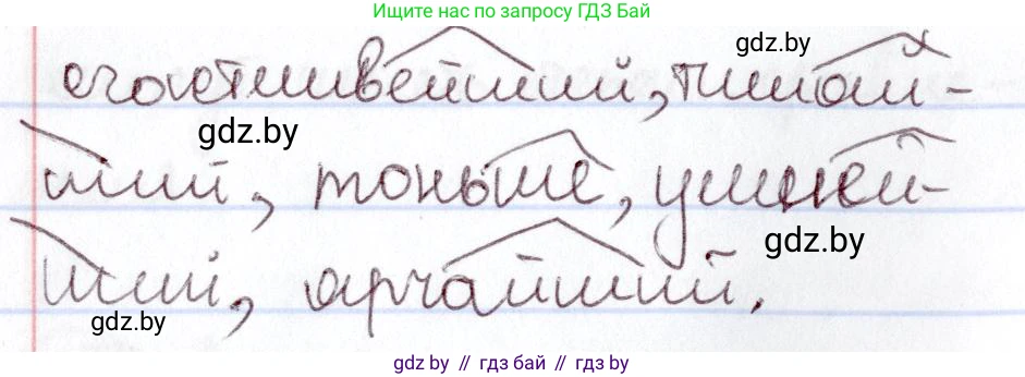Русский язык, 6 класс Учебник, авторы: Мурина Лариса Александровна, Игнатович Татьяна Владимировна, Жадейко Жанна Фёдоровна, издательство Национальный институт образования, Минск, 2020, страница 176, номер 389, Решение 2 (продолжение 2)