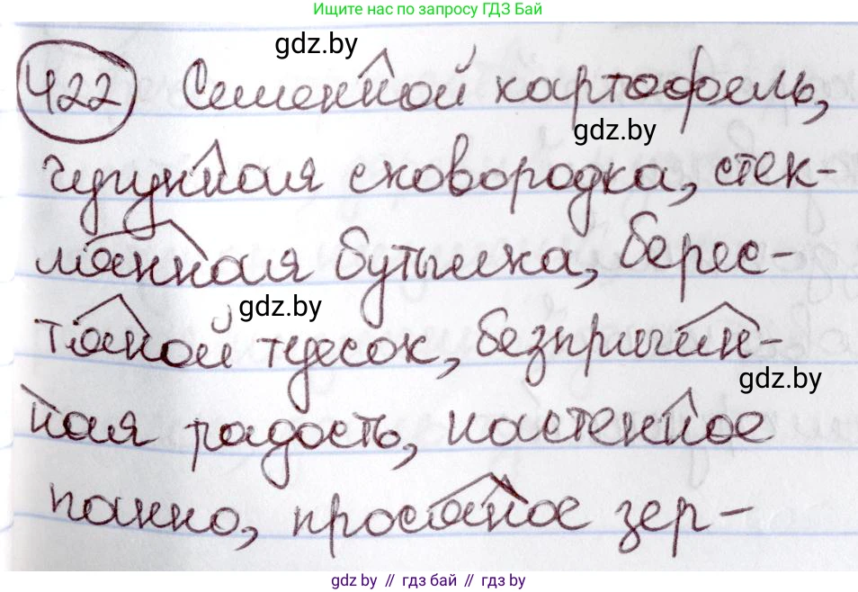 Русский язык, 6 класс Учебник, авторы: Мурина Лариса Александровна, Игнатович Татьяна Владимировна, Жадейко Жанна Фёдоровна, издательство Национальный институт образования, Минск, 2020, страница 189, номер 422, Решение 2