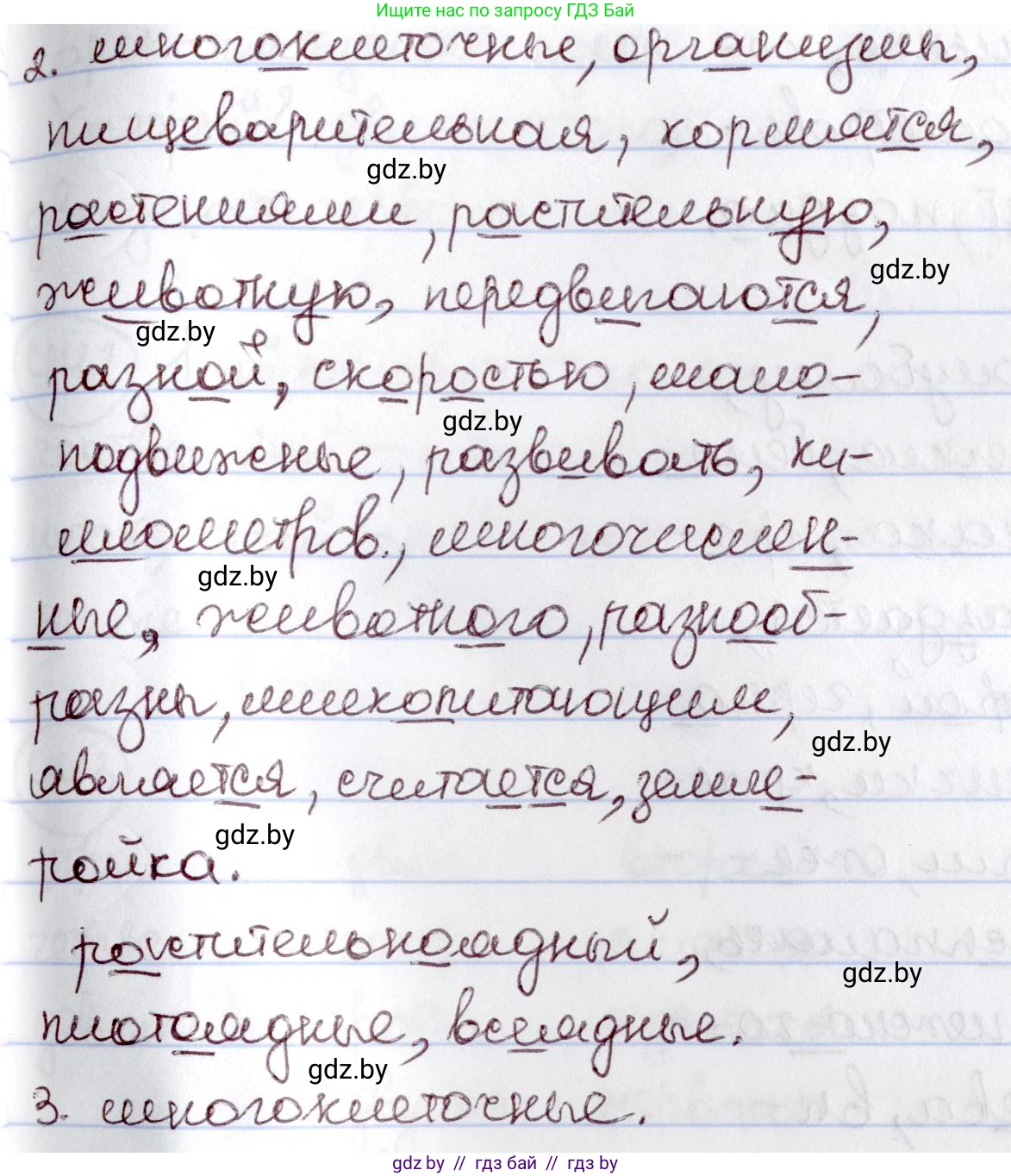 Русский язык, 6 класс Учебник, авторы: Мурина Лариса Александровна, Игнатович Татьяна Владимировна, Жадейко Жанна Фёдоровна, издательство Национальный институт образования, Минск, 2020, страница 195, номер 438, Решение 2 (продолжение 2)