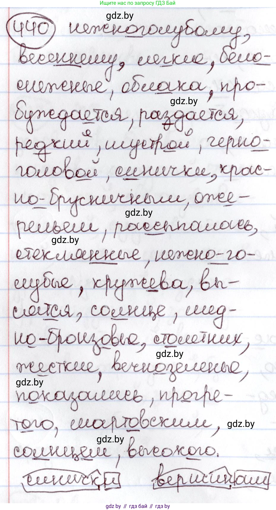 Русский язык, 6 класс Учебник, авторы: Мурина Лариса Александровна, Игнатович Татьяна Владимировна, Жадейко Жанна Фёдоровна, издательство Национальный институт образования, Минск, 2020, страница 196, номер 440, Решение 2