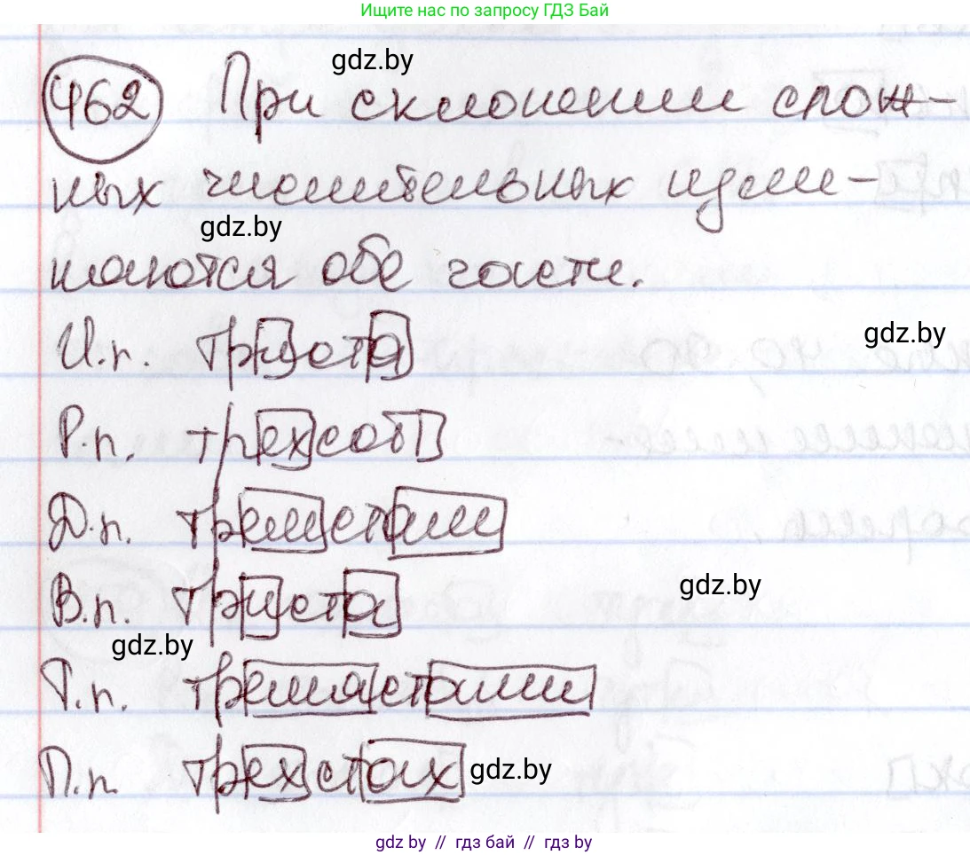 Русский язык, 6 класс Учебник, авторы: Мурина Лариса Александровна, Игнатович Татьяна Владимировна, Жадейко Жанна Фёдоровна, издательство Национальный институт образования, Минск, 2020, страница 204, номер 462, Решение 2