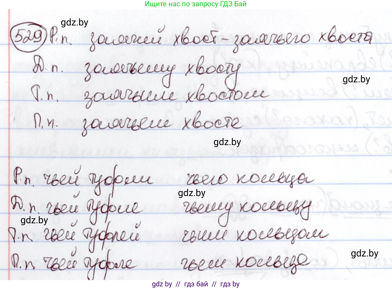 Русский язык, 6 класс Учебник, авторы: Мурина Лариса Александровна, Игнатович Татьяна Владимировна, Жадейко Жанна Фёдоровна, издательство Национальный институт образования, Минск, 2020, страница 224, номер 529, Решение 2