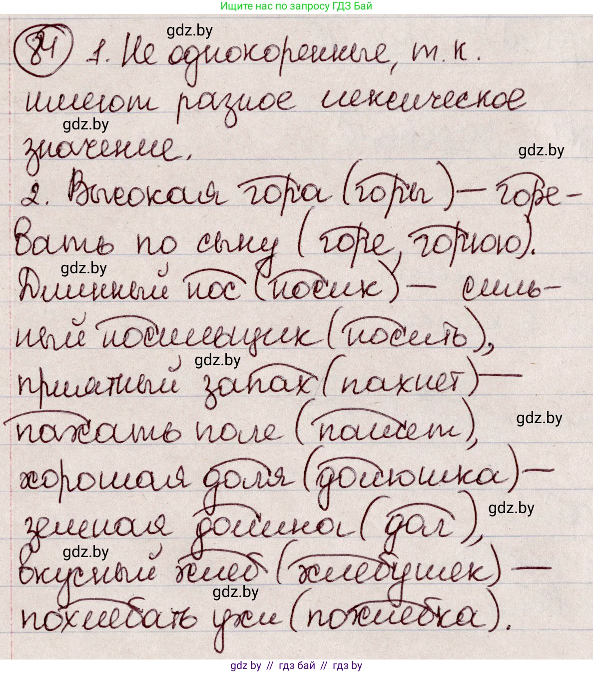 Русский язык, 6 класс Учебник, авторы: Мурина Лариса Александровна, Игнатович Татьяна Владимировна, Жадейко Жанна Фёдоровна, издательство Национальный институт образования, Минск, 2020, страница 45, номер 84, Решение 2