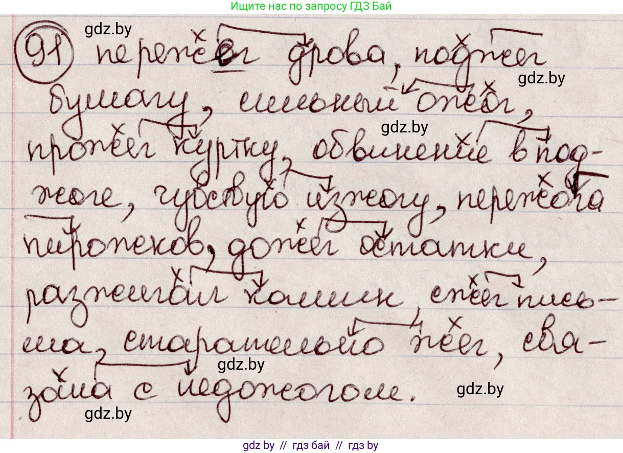Русский язык, 6 класс Учебник, авторы: Мурина Лариса Александровна, Игнатович Татьяна Владимировна, Жадейко Жанна Фёдоровна, издательство Национальный институт образования, Минск, 2020, страница 48, номер 91, Решение 2