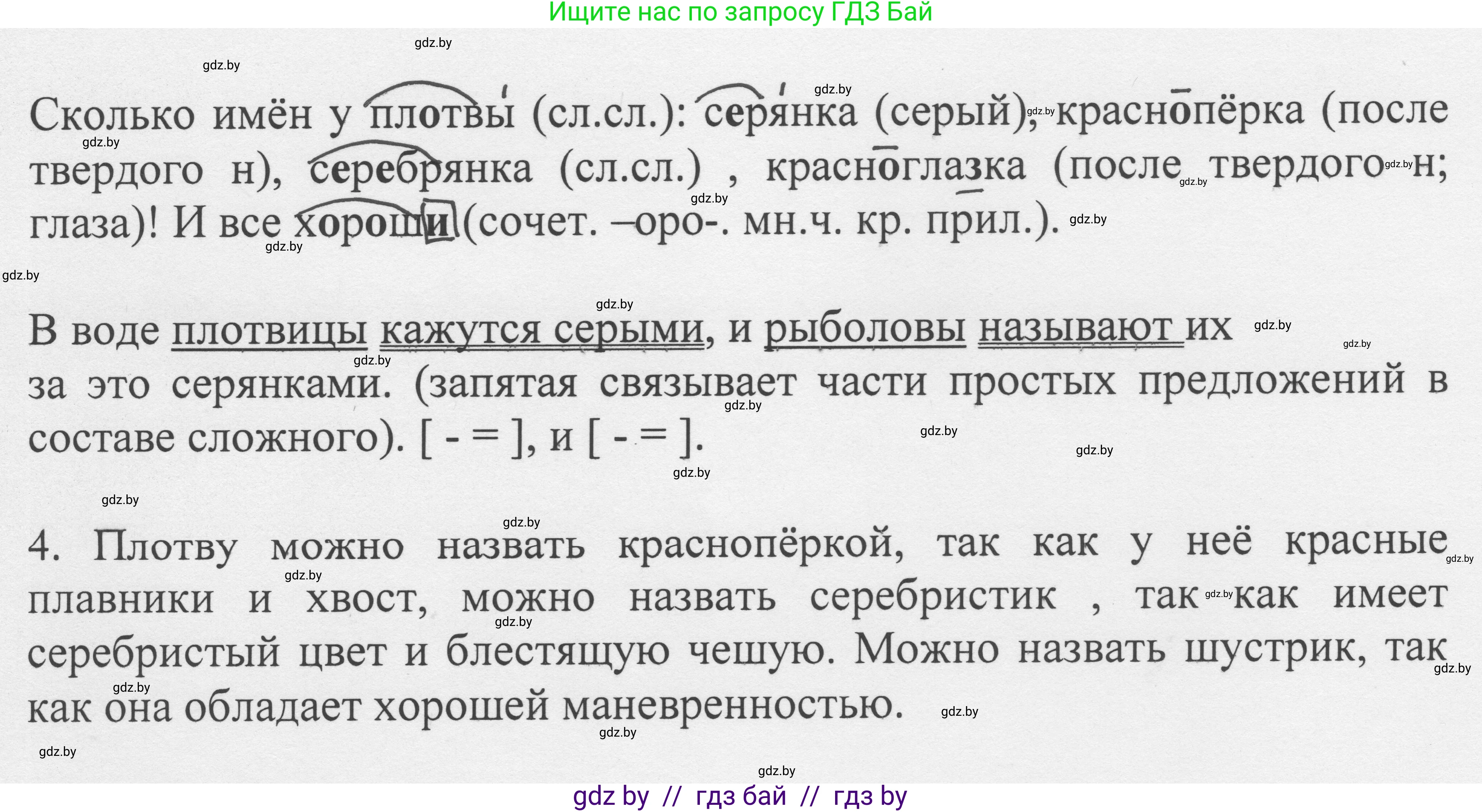 Русский язык, 6 класс Учебник, авторы: Мурина Лариса Александровна, Игнатович Татьяна Владимировна, Жадейко Жанна Фёдоровна, издательство Национальный институт образования, Минск, 2020, страница 66, номер 135, Решение 1 (продолжение 2)