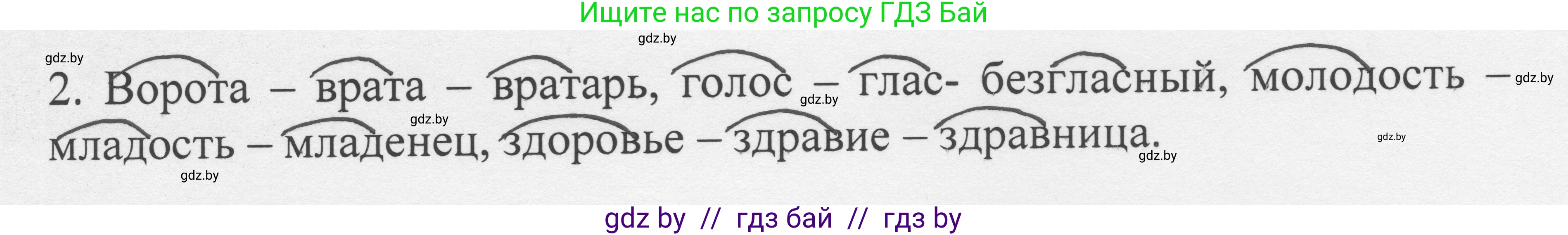 Русский язык, 6 класс Учебник, авторы: Мурина Лариса Александровна, Игнатович Татьяна Владимировна, Жадейко Жанна Фёдоровна, издательство Национальный институт образования, Минск, 2020, страница 70, номер 146, Решение 1 (продолжение 2)