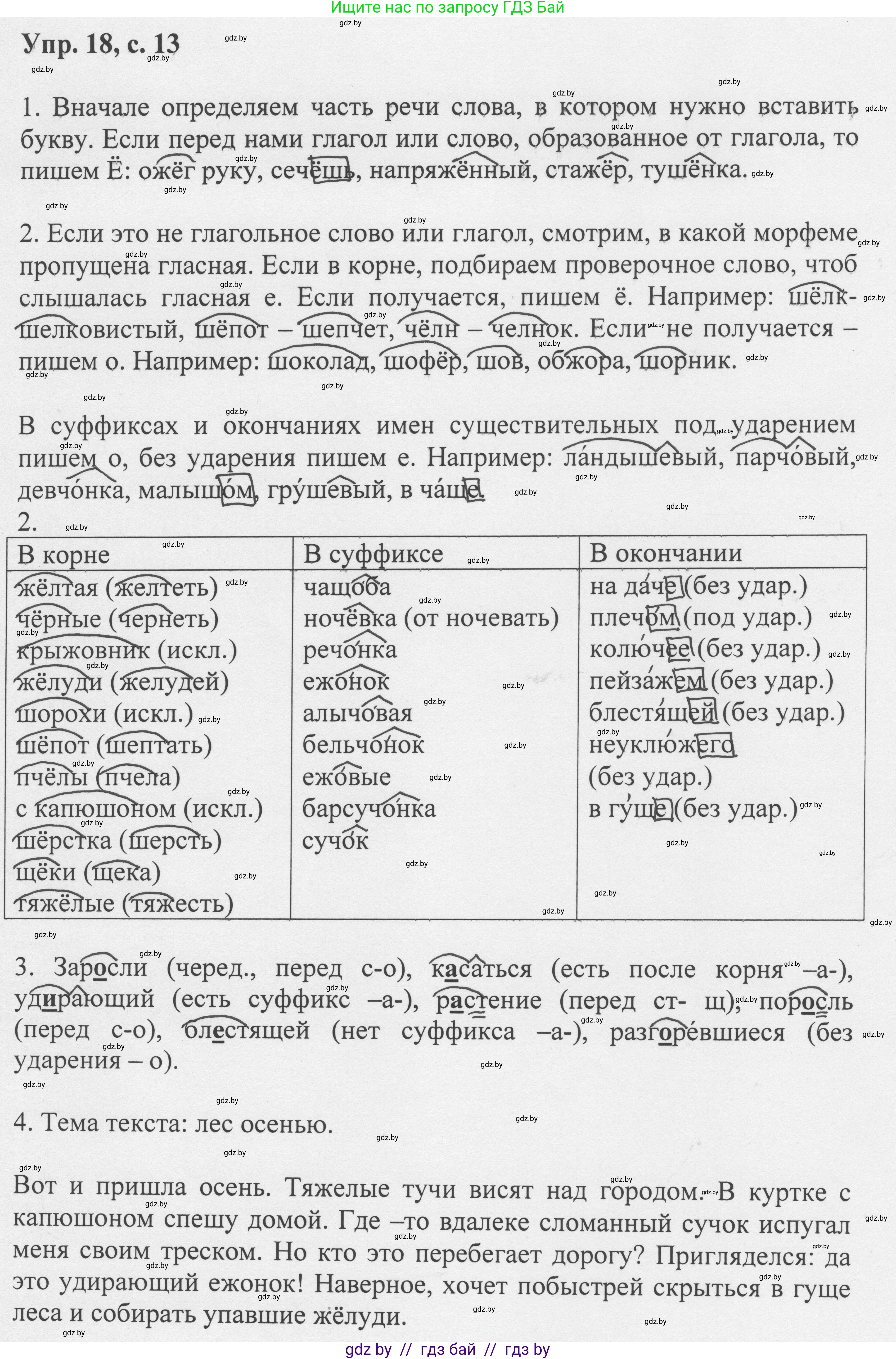 Русский язык, 6 класс Учебник, авторы: Мурина Лариса Александровна, Игнатович Татьяна Владимировна, Жадейко Жанна Фёдоровна, издательство Национальный институт образования, Минск, 2020, страница 13, номер 18, Решение 1
