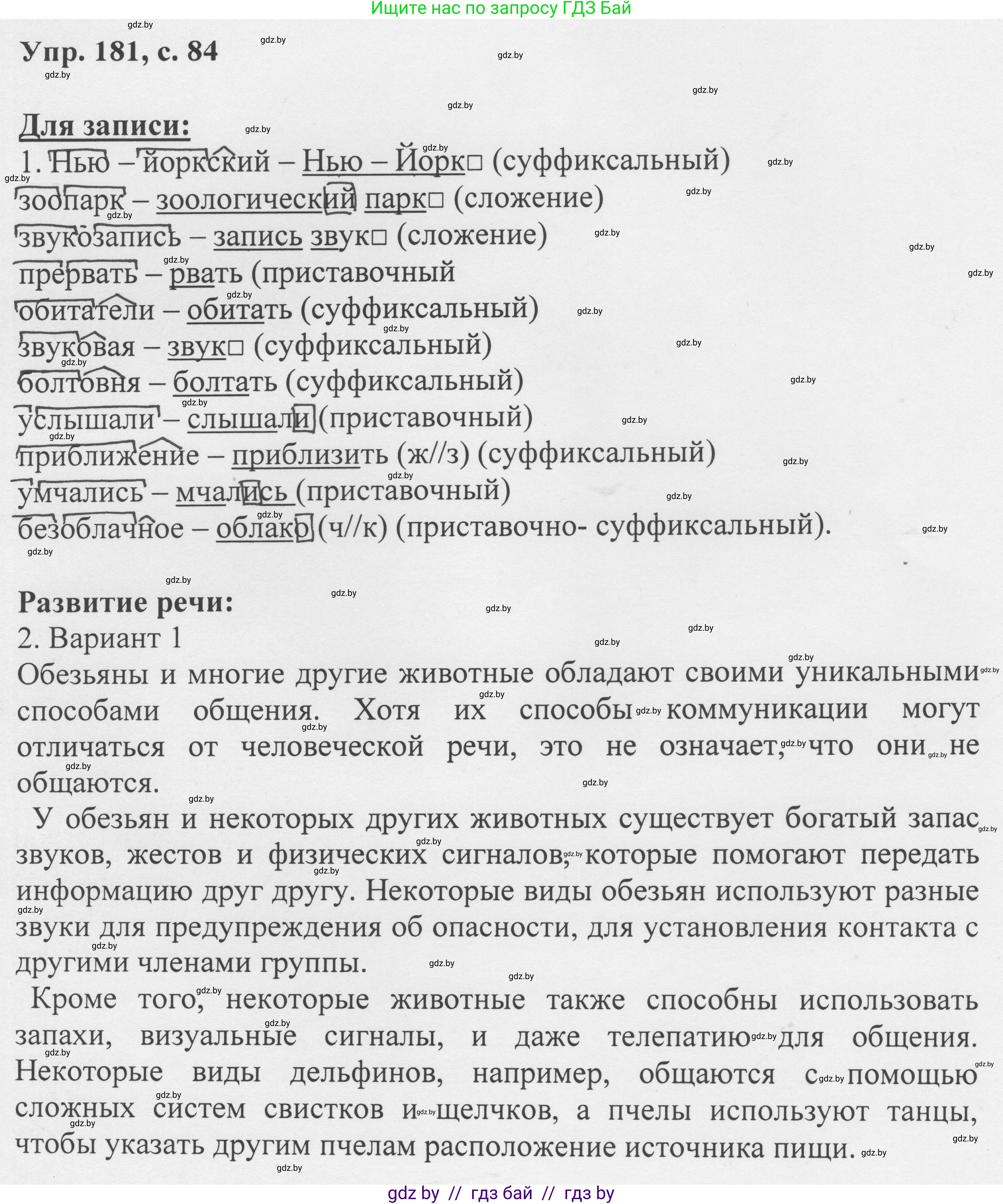 Русский язык, 6 класс Учебник, авторы: Мурина Лариса Александровна, Игнатович Татьяна Владимировна, Жадейко Жанна Фёдоровна, издательство Национальный институт образования, Минск, 2020, страница 84, номер 181, Решение 1