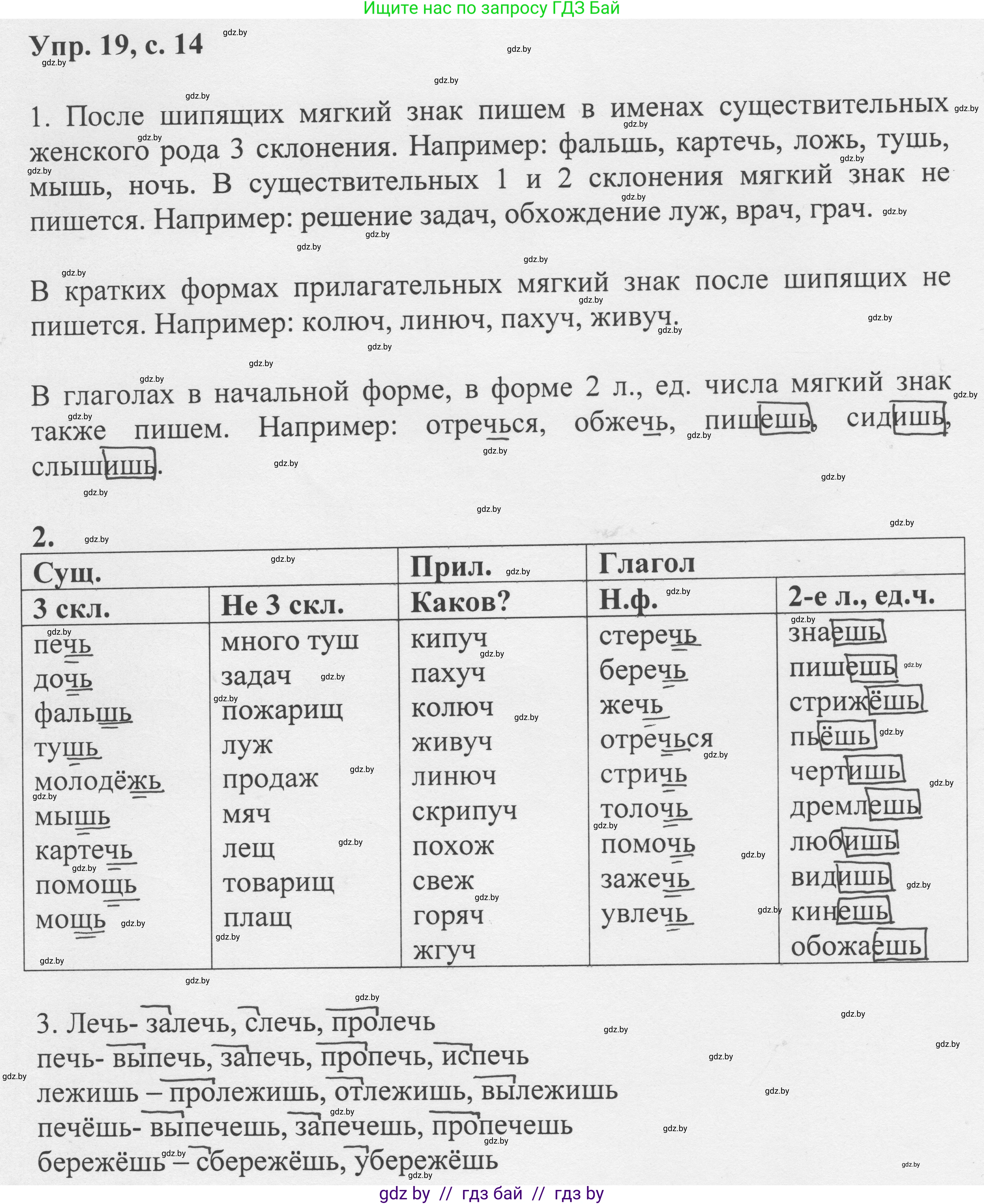 Русский язык, 6 класс Учебник, авторы: Мурина Лариса Александровна, Игнатович Татьяна Владимировна, Жадейко Жанна Фёдоровна, издательство Национальный институт образования, Минск, 2020, страница 14, номер 19, Решение 1