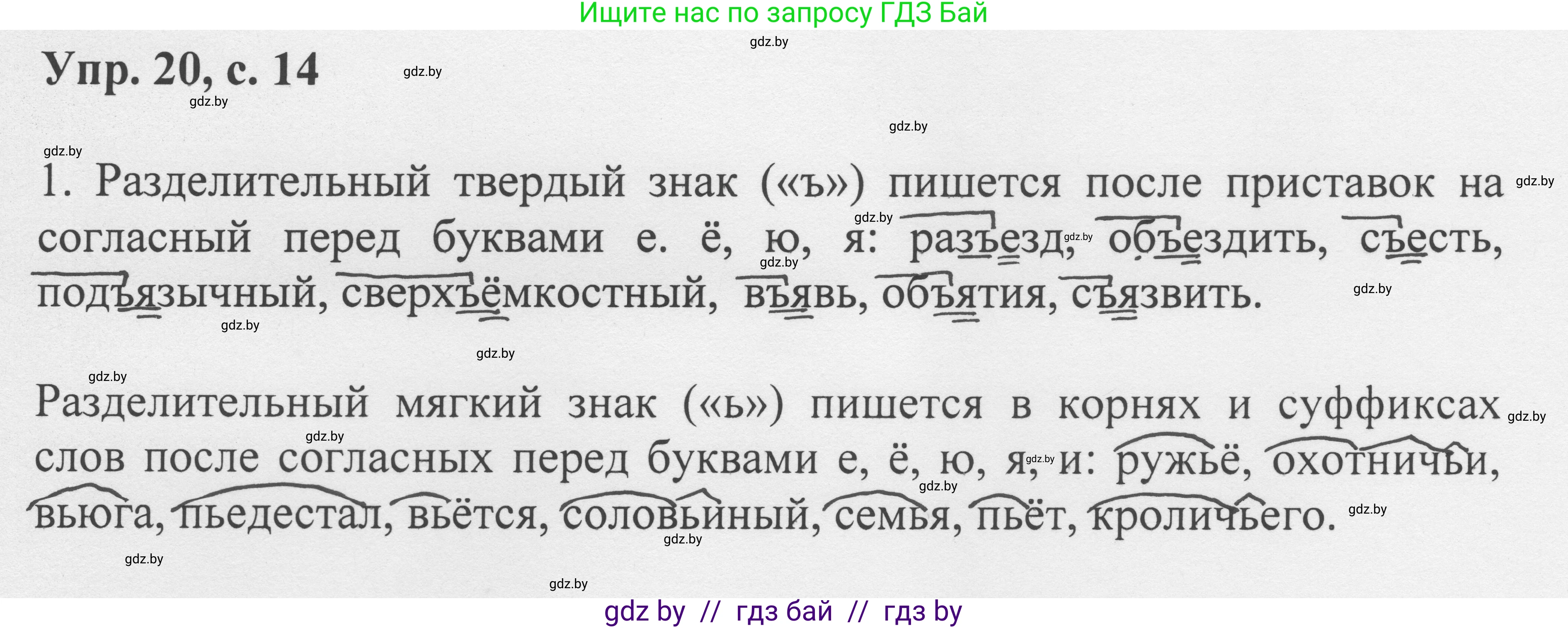 Русский язык, 6 класс Учебник, авторы: Мурина Лариса Александровна, Игнатович Татьяна Владимировна, Жадейко Жанна Фёдоровна, издательство Национальный институт образования, Минск, 2020, страница 14, номер 20, Решение 1