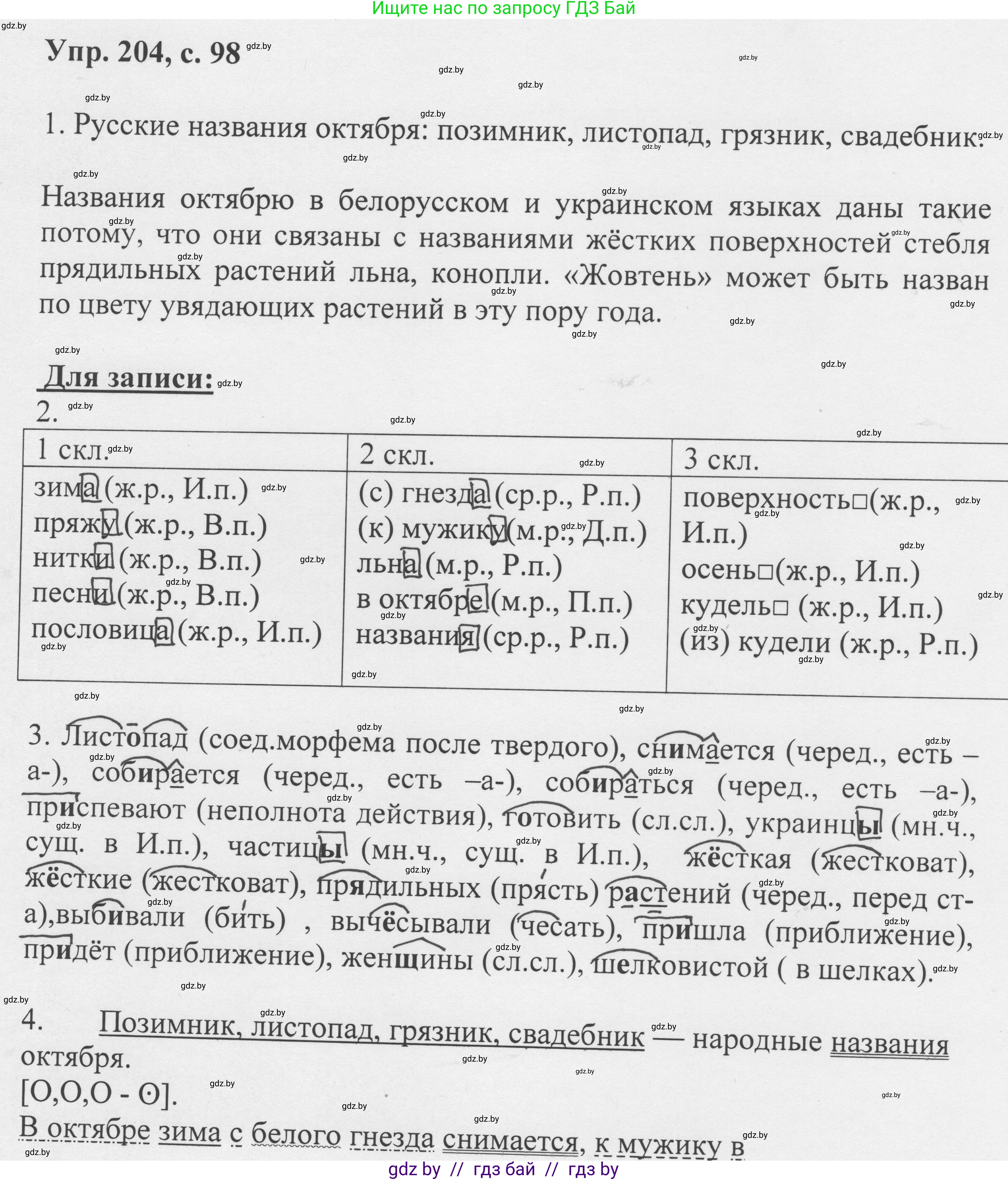 Русский язык, 6 класс Учебник, авторы: Мурина Лариса Александровна, Игнатович Татьяна Владимировна, Жадейко Жанна Фёдоровна, издательство Национальный институт образования, Минск, 2020, страница 98, номер 204, Решение 1