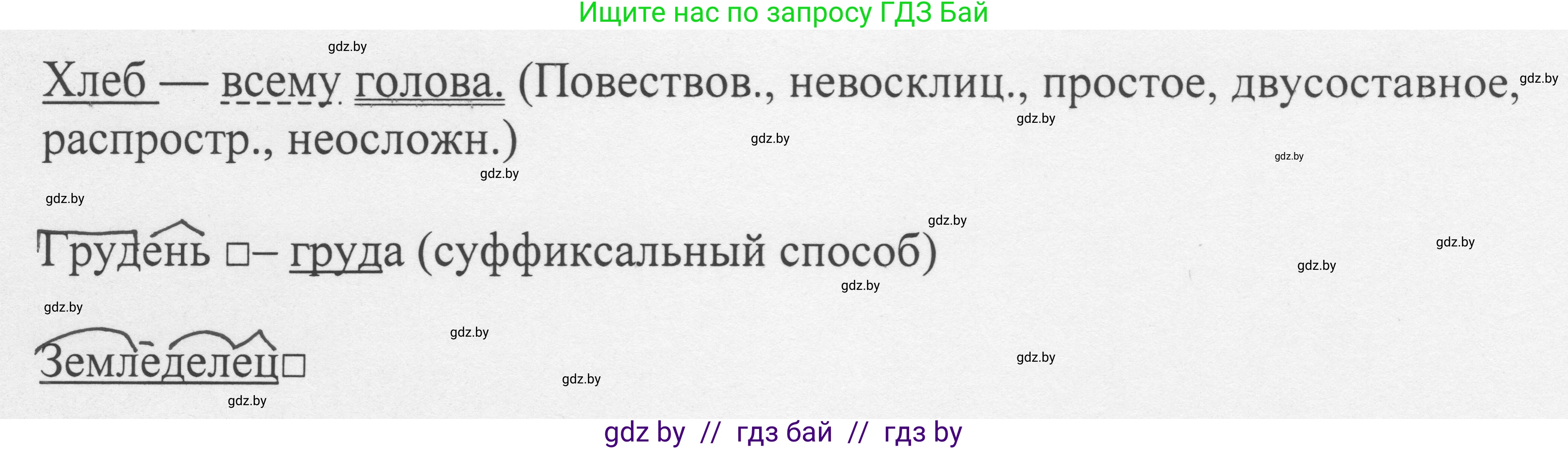 Русский язык, 6 класс Учебник, авторы: Мурина Лариса Александровна, Игнатович Татьяна Владимировна, Жадейко Жанна Фёдоровна, издательство Национальный институт образования, Минск, 2020, страница 99, номер 206, Решение 1 (продолжение 2)