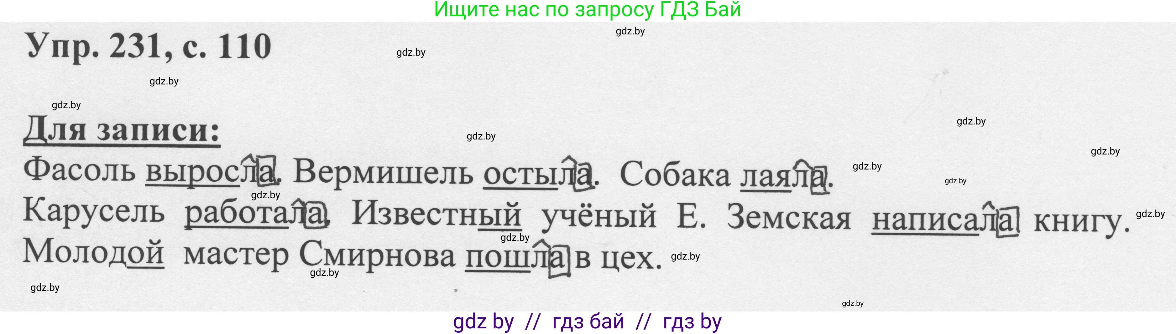 Русский язык, 6 класс Учебник, авторы: Мурина Лариса Александровна, Игнатович Татьяна Владимировна, Жадейко Жанна Фёдоровна, издательство Национальный институт образования, Минск, 2020, страница 110, номер 231, Решение 1