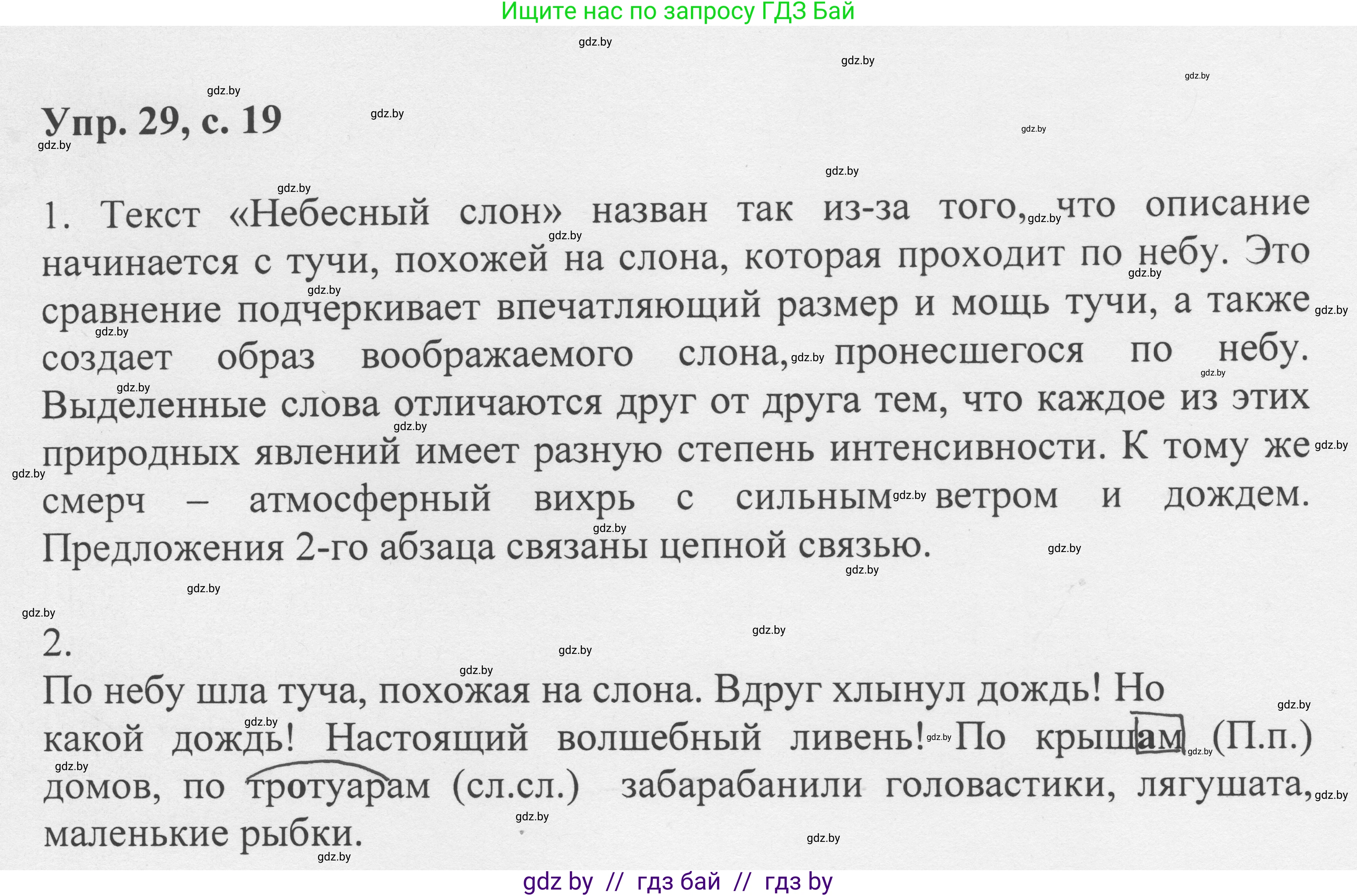 Русский язык, 6 класс Учебник, авторы: Мурина Лариса Александровна, Игнатович Татьяна Владимировна, Жадейко Жанна Фёдоровна, издательство Национальный институт образования, Минск, 2020, страница 19, номер 29, Решение 1