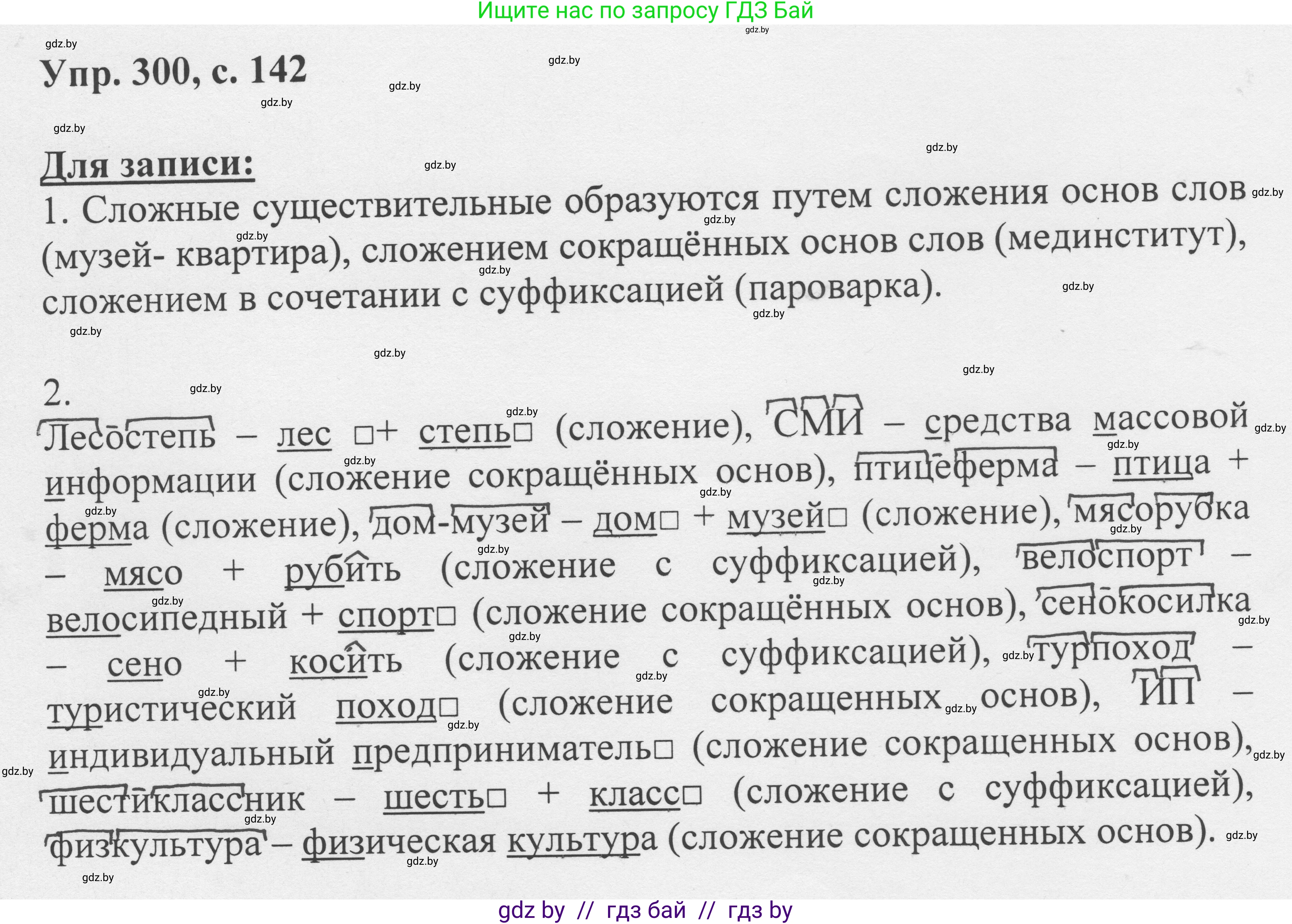 Русский язык, 6 класс Учебник, авторы: Мурина Лариса Александровна, Игнатович Татьяна Владимировна, Жадейко Жанна Фёдоровна, издательство Национальный институт образования, Минск, 2020, страница 142, номер 300, Решение 1