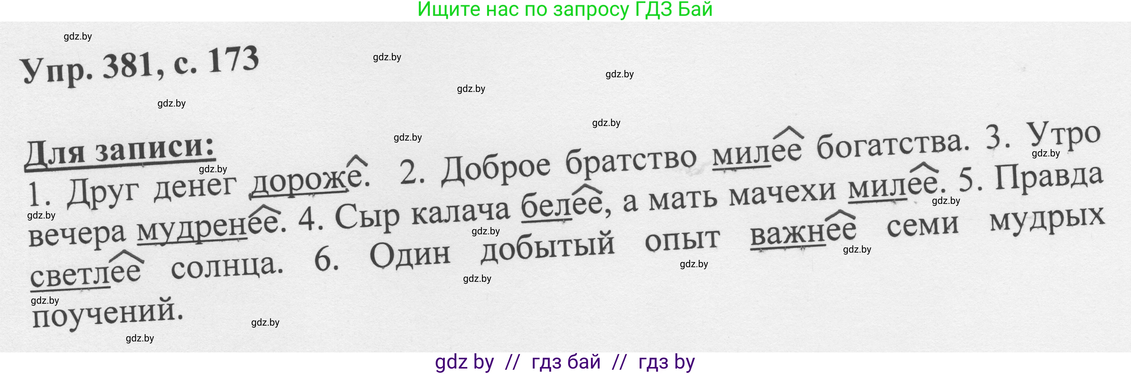 Русский язык, 6 класс Учебник, авторы: Мурина Лариса Александровна, Игнатович Татьяна Владимировна, Жадейко Жанна Фёдоровна, издательство Национальный институт образования, Минск, 2020, страница 173, номер 381, Решение 1