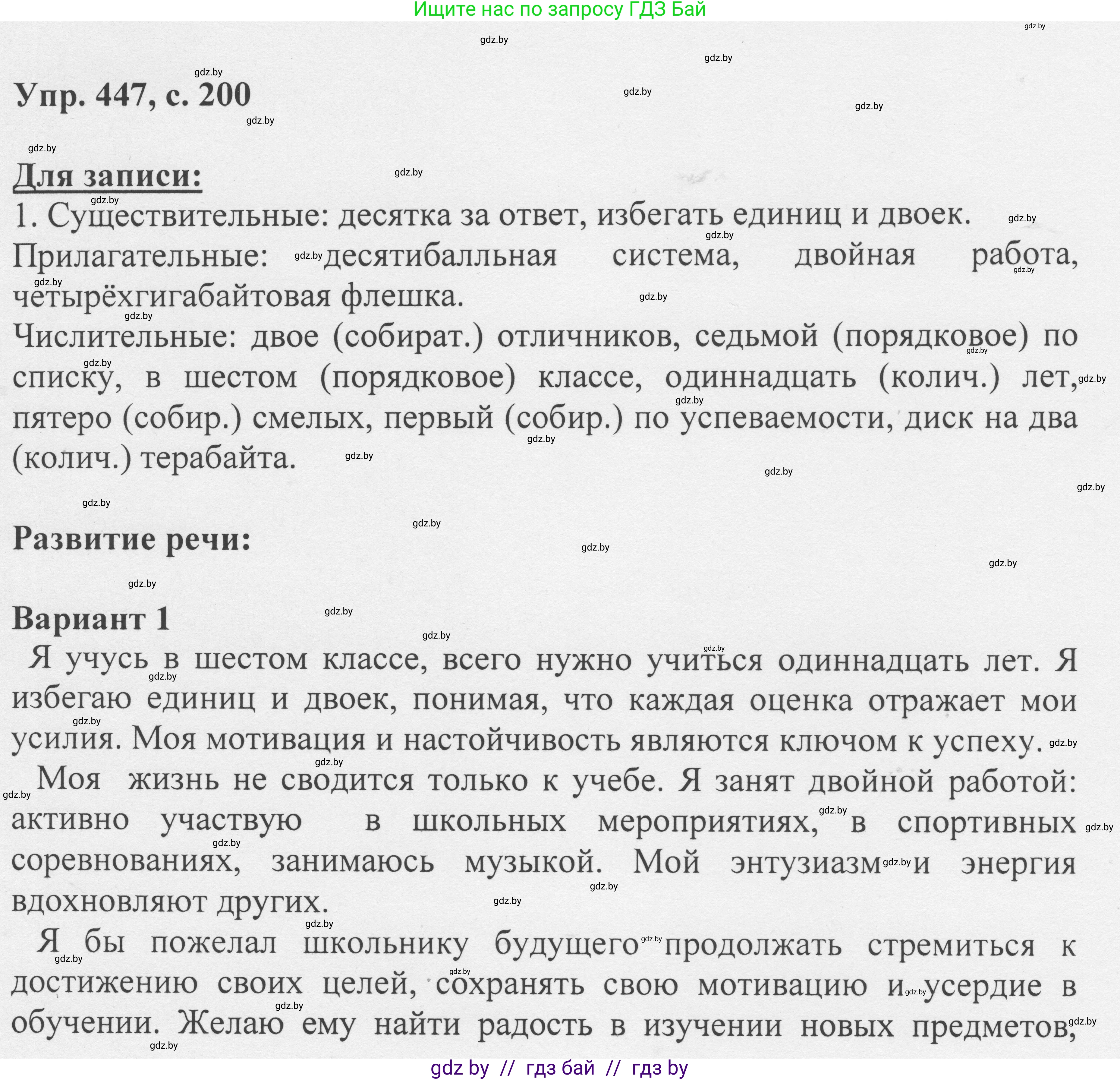 Русский язык, 6 класс Учебник, авторы: Мурина Лариса Александровна, Игнатович Татьяна Владимировна, Жадейко Жанна Фёдоровна, издательство Национальный институт образования, Минск, 2020, страница 200, номер 447, Решение 1