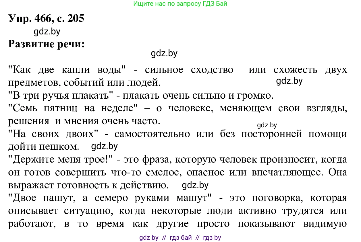 Русский язык, 6 класс Учебник, авторы: Мурина Лариса Александровна, Игнатович Татьяна Владимировна, Жадейко Жанна Фёдоровна, издательство Национальный институт образования, Минск, 2020, страница 205, номер 466, Решение 1