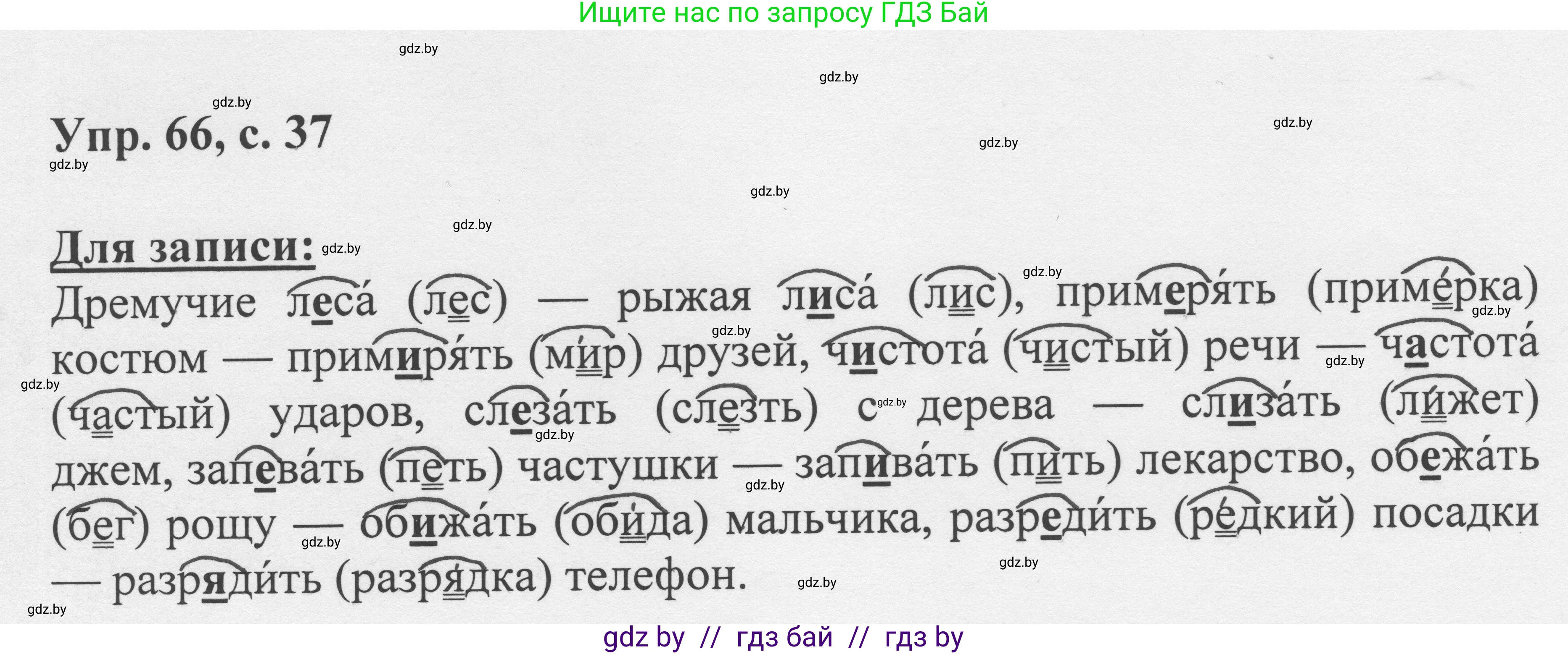 Русский язык, 6 класс Учебник, авторы: Мурина Лариса Александровна, Игнатович Татьяна Владимировна, Жадейко Жанна Фёдоровна, издательство Национальный институт образования, Минск, 2020, страница 37, номер 66, Решение 1