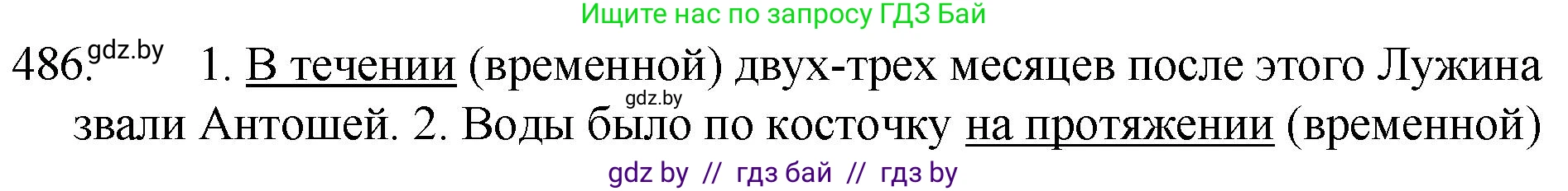 Русский язык, 7 класс Учебник, авторы: Волынец Татьяна Николаевна, Литвинко Франя Михайловна, Долбик Елена Евгеньевна, Таяновская И В, Винник И Р, издательство Национальный институт образования, Минск, 2020, бирюзового цвета, страница 234, номер 486, Решение