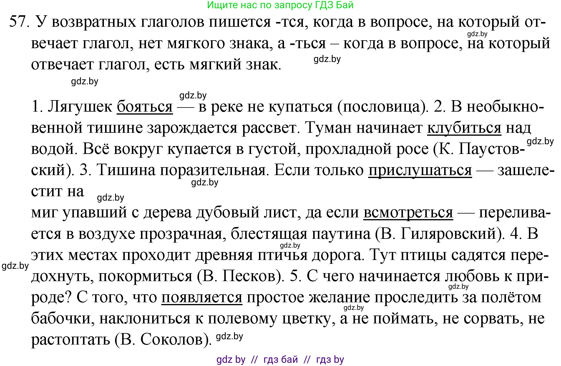 Русский язык, 7 класс Учебник, авторы: Волынец Татьяна Николаевна, Литвинко Франя Михайловна, Долбик Елена Евгеньевна, Таяновская И В, Винник И Р, издательство Национальный институт образования, Минск, 2020, бирюзового цвета, страница 36, номер 57, Решение