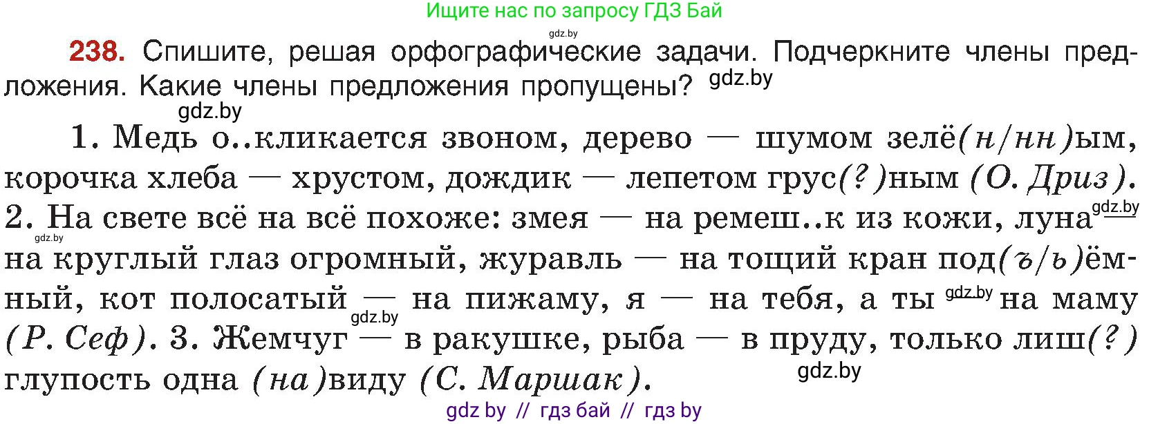 Русский язык, 8 класс Учебник, авторы: Мурина Лариса Александровна, Долбик Елена Евгеньевна, Леонович Валентина Леонидовна, Жадейко Жанна Фёдоровна, издательство Академия образования, Минск, 2024, страница 127, номер 238, Условие