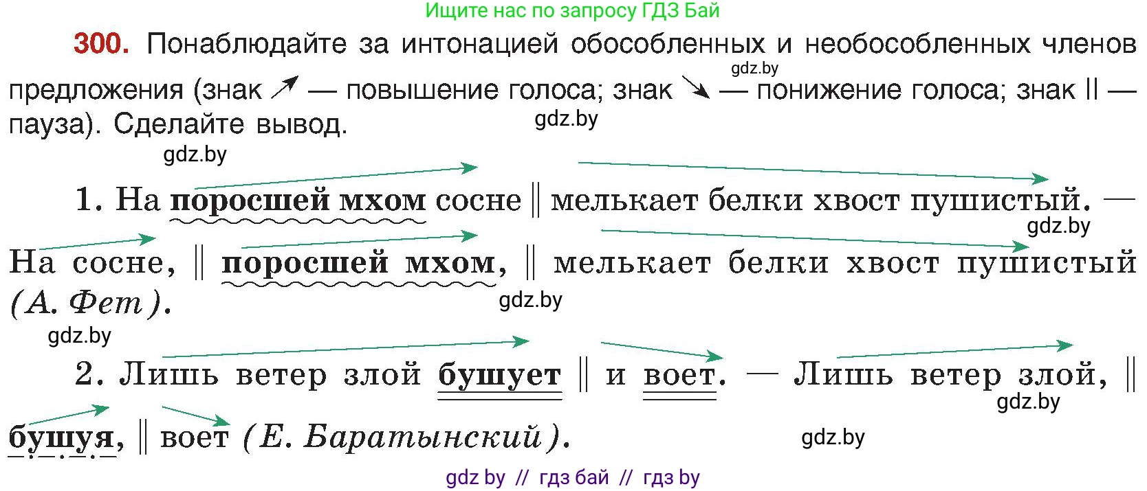 Русский язык, 8 класс Учебник, авторы: Мурина Лариса Александровна, Долбик Елена Евгеньевна, Леонович Валентина Леонидовна, Жадейко Жанна Фёдоровна, издательство Академия образования, Минск, 2024, страница 164, номер 300, Условие