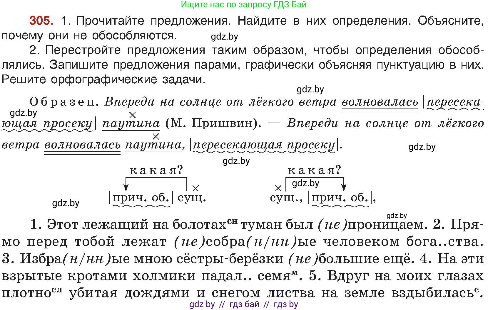 Русский язык, 8 класс Учебник, авторы: Мурина Лариса Александровна, Долбик Елена Евгеньевна, Леонович Валентина Леонидовна, Жадейко Жанна Фёдоровна, издательство Академия образования, Минск, 2024, страница 167, номер 305, Условие