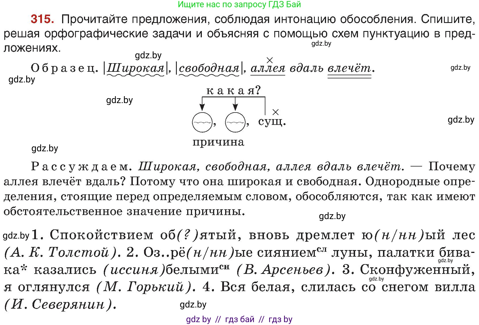 Русский язык, 8 класс Учебник, авторы: Мурина Лариса Александровна, Долбик Елена Евгеньевна, Леонович Валентина Леонидовна, Жадейко Жанна Фёдоровна, издательство Академия образования, Минск, 2024, страница 172, номер 315, Условие
