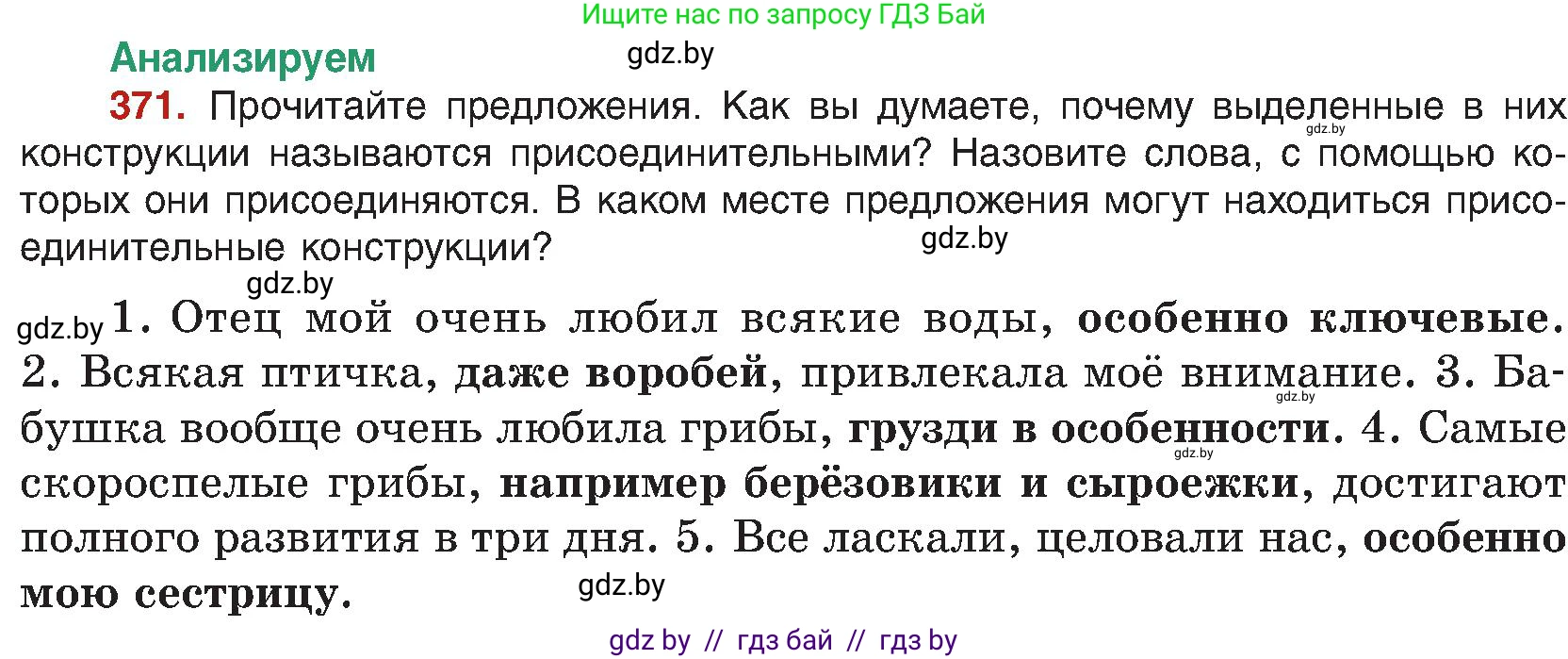 Русский язык, 8 класс Учебник, авторы: Мурина Лариса Александровна, Долбик Елена Евгеньевна, Леонович Валентина Леонидовна, Жадейко Жанна Фёдоровна, издательство Академия образования, Минск, 2024, страница 203, номер 371, Условие