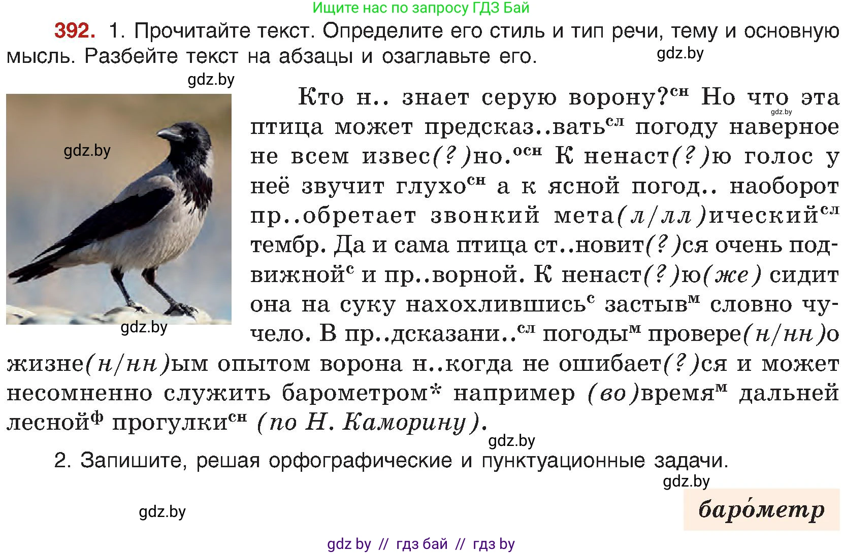 Русский язык, 8 класс Учебник, авторы: Мурина Лариса Александровна, Долбик Елена Евгеньевна, Леонович Валентина Леонидовна, Жадейко Жанна Фёдоровна, издательство Академия образования, Минск, 2024, страница 216, номер 392, Условие