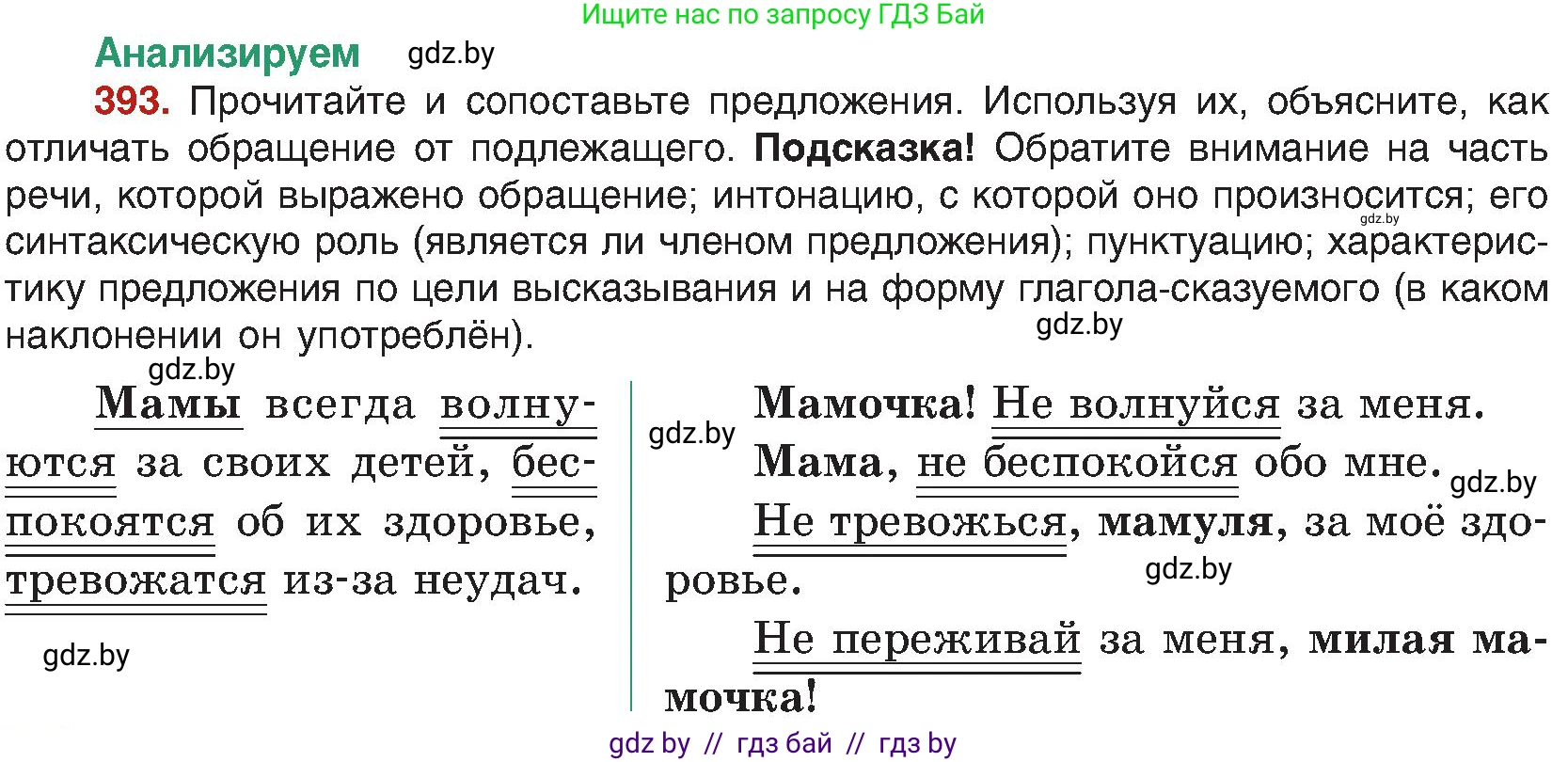 Русский язык, 8 класс Учебник, авторы: Мурина Лариса Александровна, Долбик Елена Евгеньевна, Леонович Валентина Леонидовна, Жадейко Жанна Фёдоровна, издательство Академия образования, Минск, 2024, страница 217, номер 393, Условие