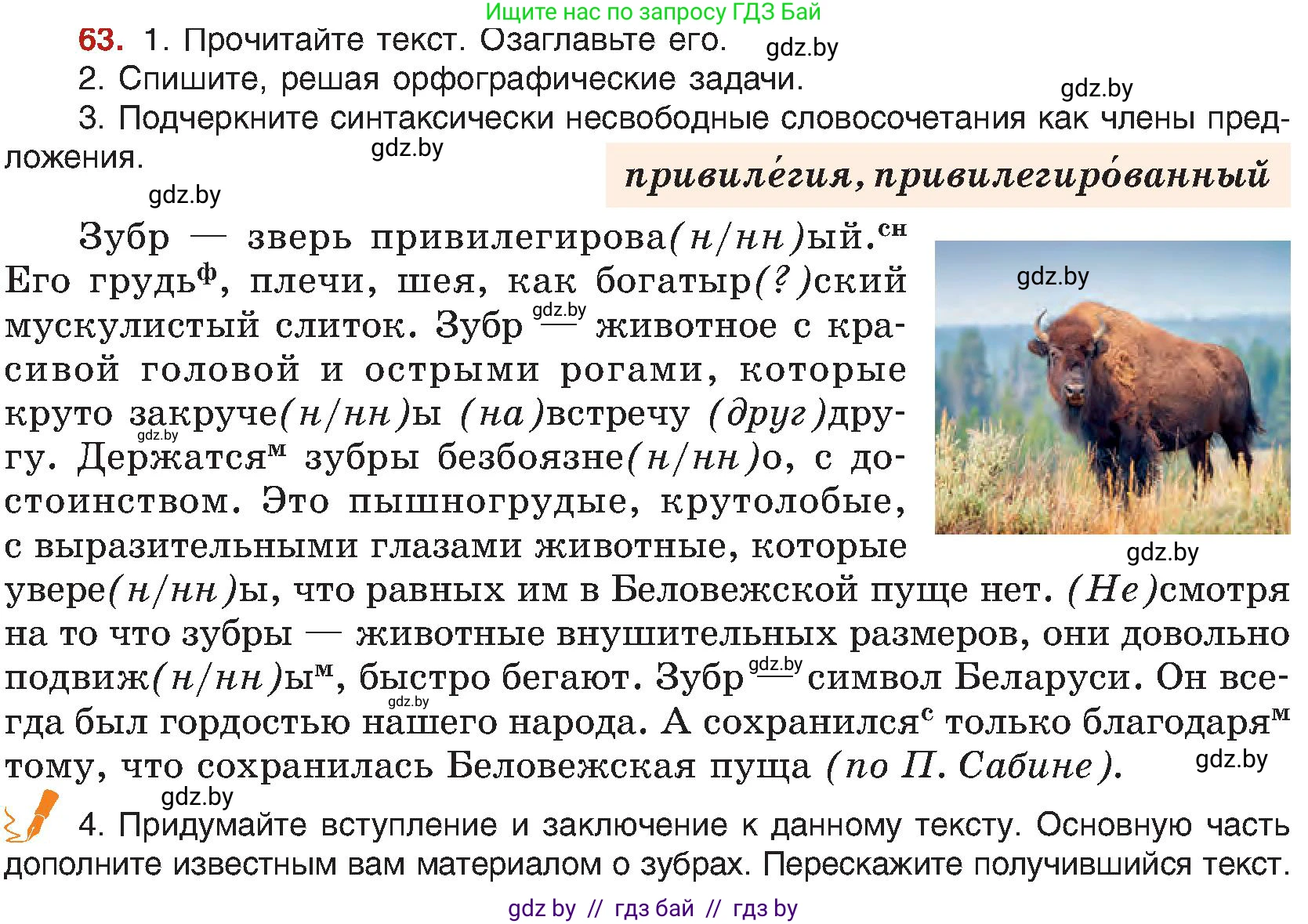 Русский язык, 8 класс Учебник, авторы: Мурина Лариса Александровна, Долбик Елена Евгеньевна, Леонович Валентина Леонидовна, Жадейко Жанна Фёдоровна, издательство Академия образования, Минск, 2024, страница 45, номер 63, Условие