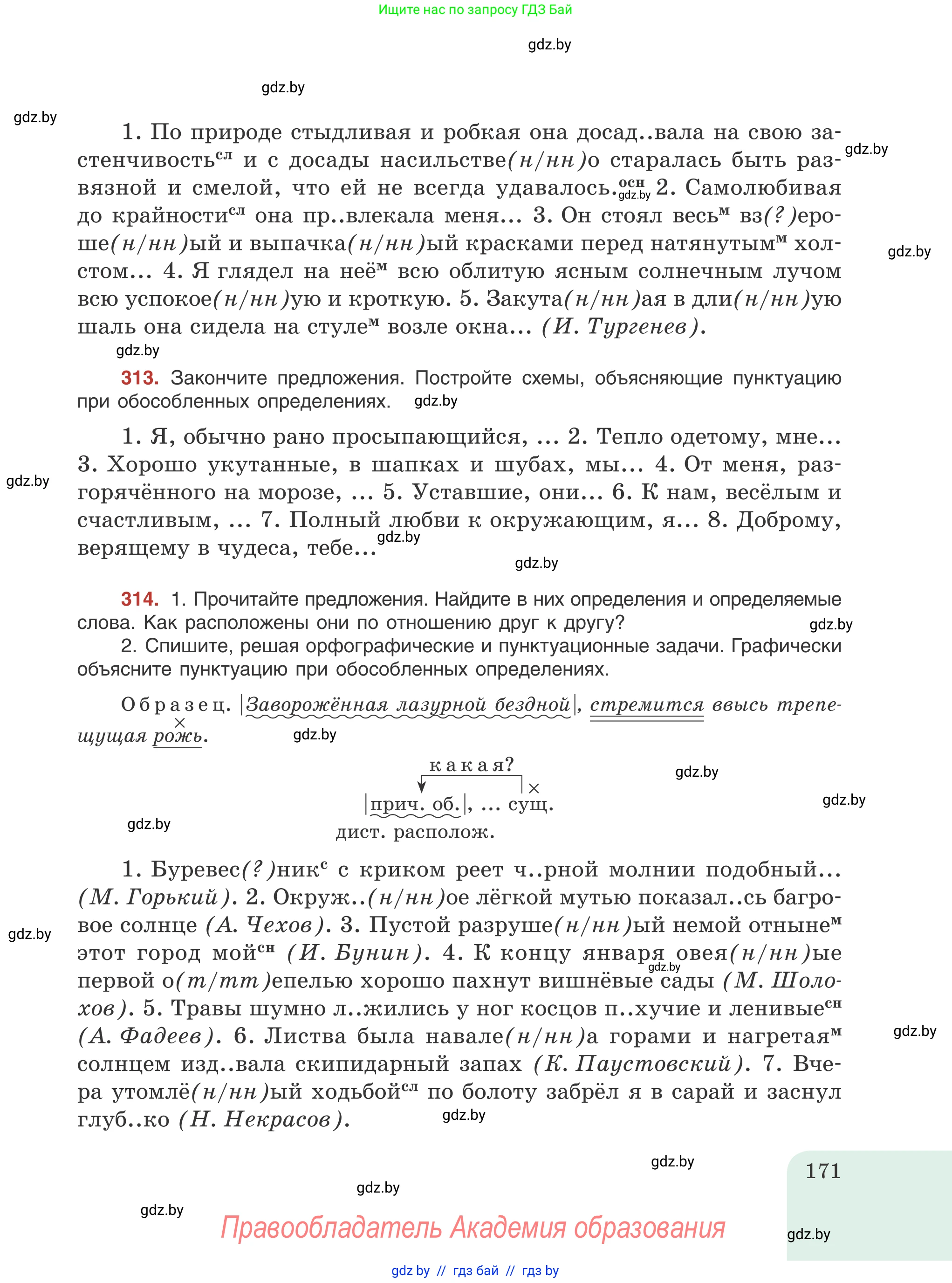 Русский язык, 8 класс Учебник, авторы: Мурина Лариса Александровна, Долбик Елена Евгеньевна, Леонович Валентина Леонидовна, Жадейко Жанна Фёдоровна, издательство Академия образования, Минск, 2024, страница 171