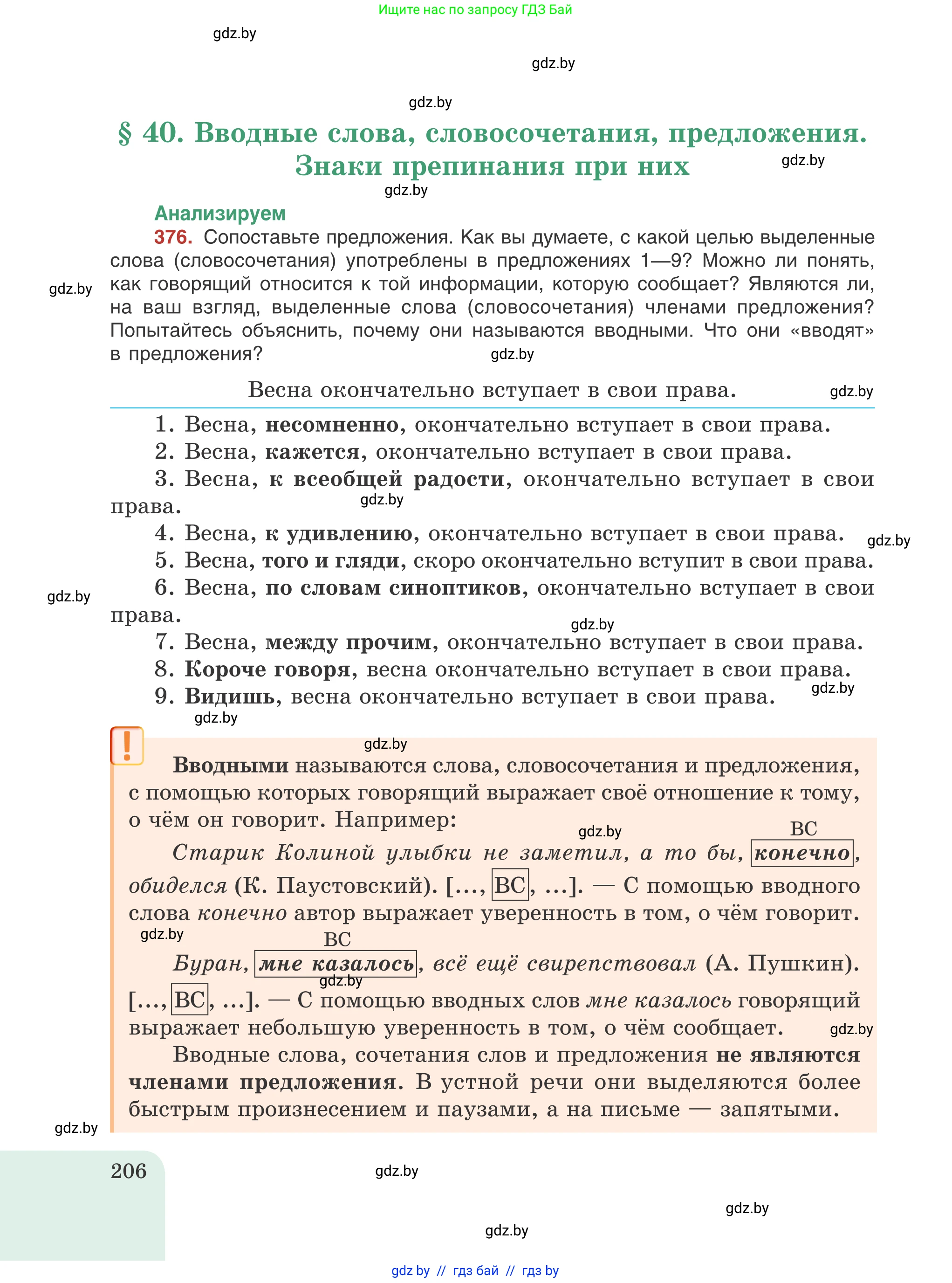 Русский язык, 8 класс Учебник, авторы: Мурина Лариса Александровна, Долбик Елена Евгеньевна, Леонович Валентина Леонидовна, Жадейко Жанна Фёдоровна, издательство Академия образования, Минск, 2024, страница 206