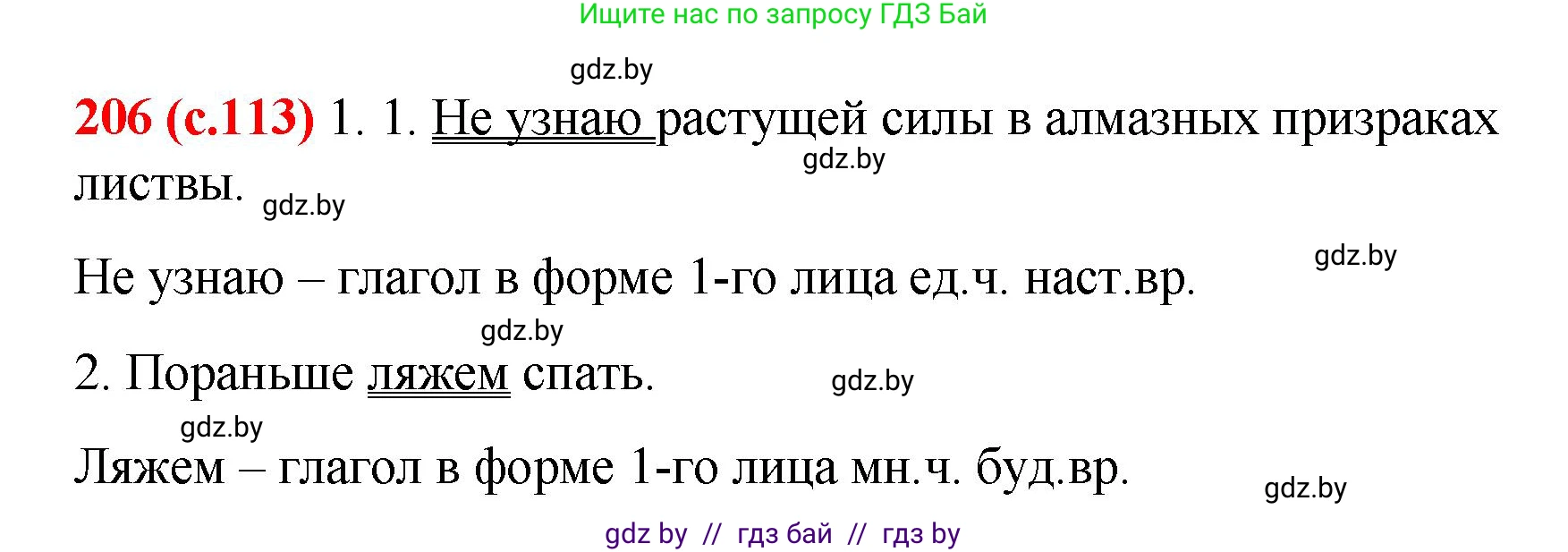 Русский язык, 8 класс Учебник, авторы: Мурина Лариса Александровна, Долбик Елена Евгеньевна, Леонович Валентина Леонидовна, Жадейко Жанна Фёдоровна, издательство Академия образования, Минск, 2024, страница 113, номер 206, Решение