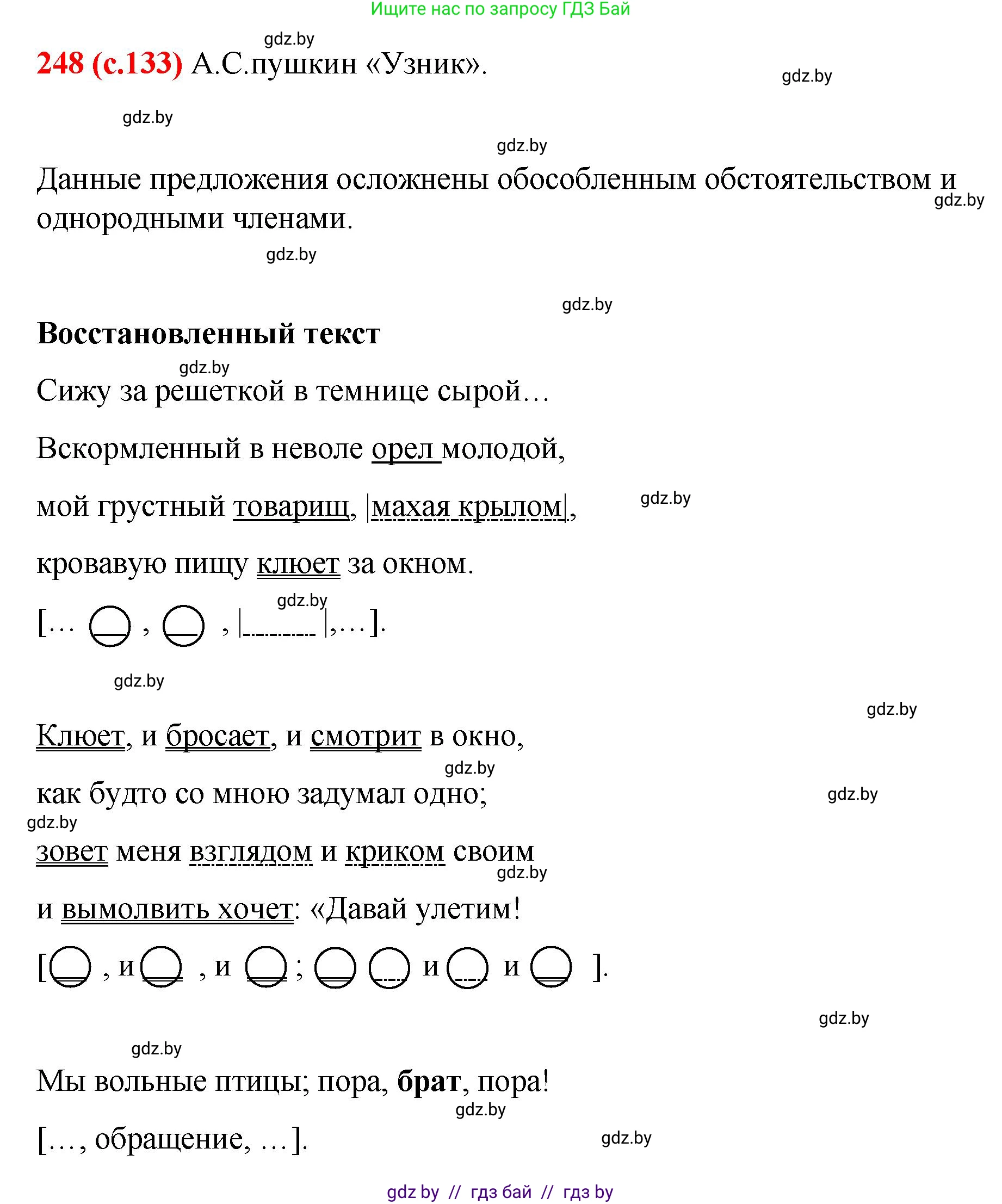 Русский язык, 8 класс Учебник, авторы: Мурина Лариса Александровна, Долбик Елена Евгеньевна, Леонович Валентина Леонидовна, Жадейко Жанна Фёдоровна, издательство Академия образования, Минск, 2024, страница 133, номер 248, Решение